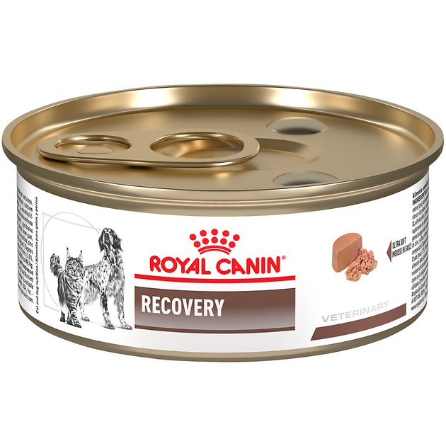 RCVD Dog Recovery Feline/Canine Konzerva 195g