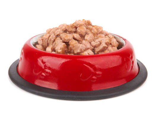 Obroci