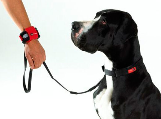 Patento Pet Hands Free Povodac M